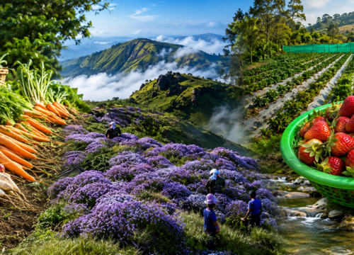 Kanthalloor Tour Packages from Udumalpet – Marayoor, Fruit Farms & Jeep Safari