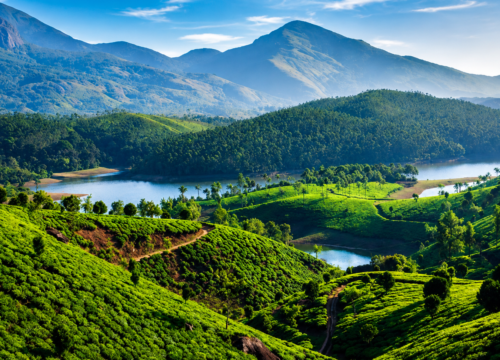 Munnar, Thekkady, Vagamon & Kanthalloor Tour Packages – Plan the Ultimate Kerala Hill Holiday