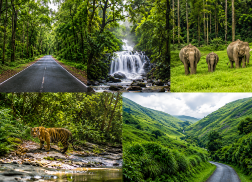 Kerala Family Tour Packages from Singapore – A Relaxed South India Holiday