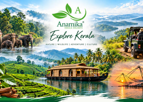 Periyar Wildlife Safari: Best Ways to Experience the Forest